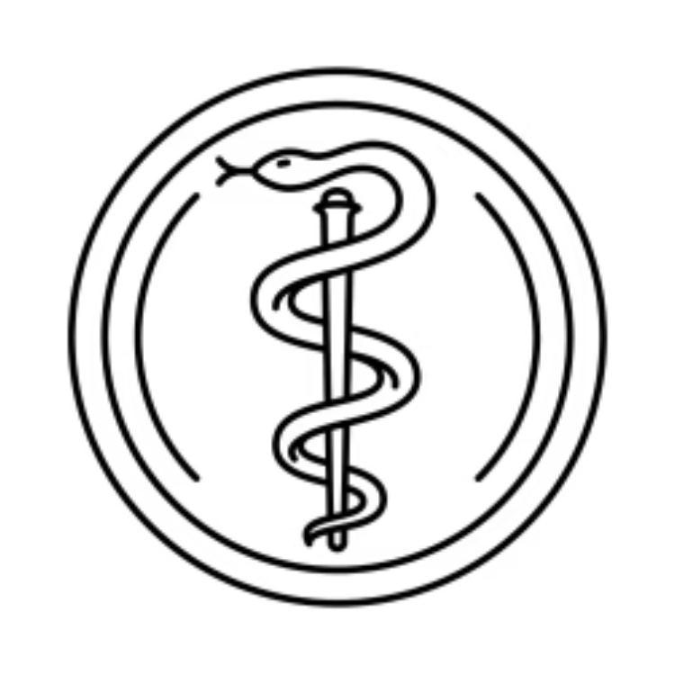 bratislava general medicine dental medicine application