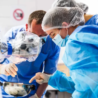 medical studies kosice general medicine dental medicine 3